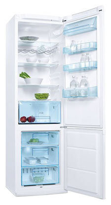 Холодильник Electrolux ERB 40301
