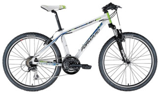 Подростковый горный (MTB) велосипед FORWARD 6410 (2013)