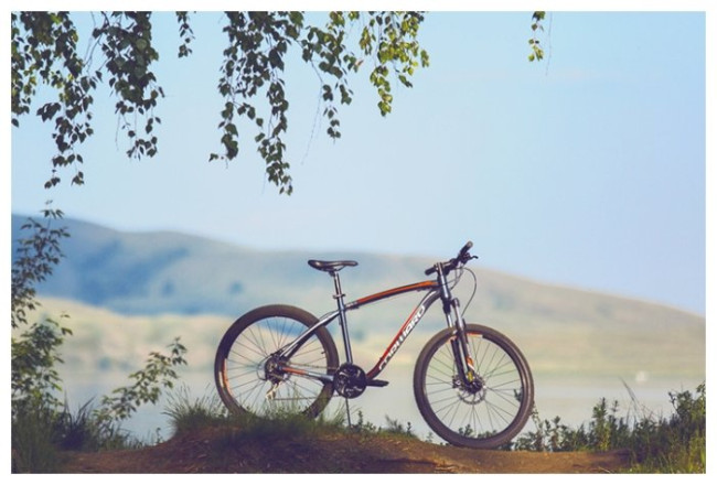 Горный (MTB) велосипед FORWARD Agris 27.5 3.0 Disc (2016)