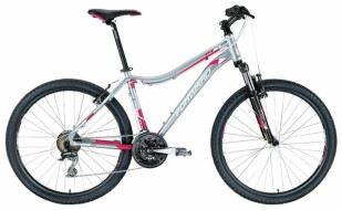Горный (MTB) велосипед FORWARD 1410 Lady (2013)